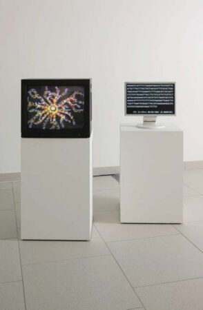 A white exhibition space which contains two computer monitors, each sitting on a white plinth. The monitor on the left has a brightly coloured pattern on the screen, the smaller monitor on the right has white writing on the screen.