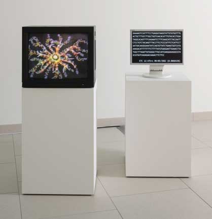 A white exhibition space which contains two computer monitors, each sitting on a white plinth. The monitor on the left has a brightly coloured pattern on the screen, the smaller monitor on the right has white writing on the screen.