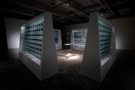 In a large, white walled exhibition space, sits a glass cabinet. Surrounding the cabinet are four large cases with a glass front and white, wooden frames.