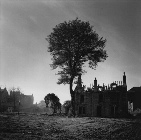A black and white photograph of a large tree growing at the side of a partly demolished building.