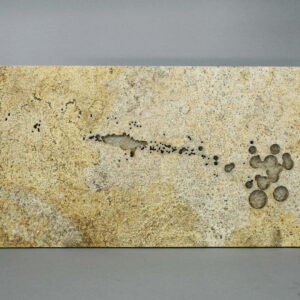 A slab of beige coloured stone with splashes of oil on it.