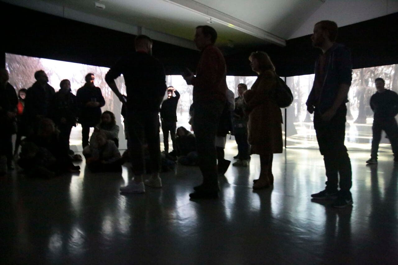 A group of people standing in a dark room surrounded by projected images of trees.