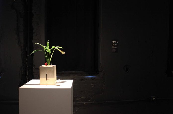 In a dark room sits a plant in a concrete plant pot which sits atop a spotlit white plinth.
