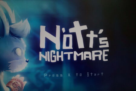 A computer illustrated image of a raccoon type animal,blue and white in colour. To the right of this image,written in large white writing on a dark blue background,are the words " Notts Nightmare".
