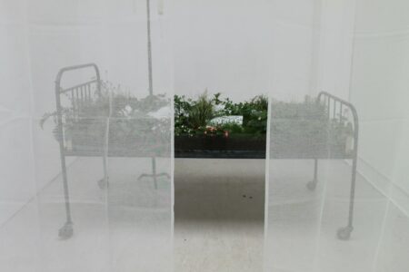 A hospital bed covered in pot plants, in a white room.