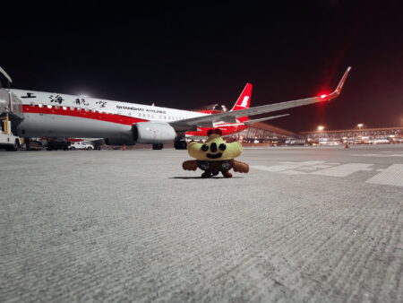 Small green plush toy with brown wings sitting on an airport runway. In the background is a red and white, Shanghai Airlines, aeroplane.