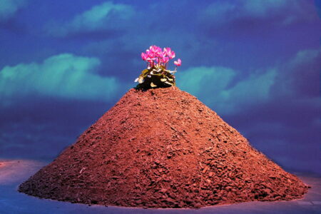 Pile of Dirt with pink flowers at the top.In the background there is blue sky and white fluffy clouds.