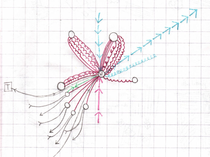 Illustration of a half drawn flower, illustrated on graph paper.coming out of the flower are blue arrows pointing northeast and pink, green and grey arrows leaving the flower southeasterly.