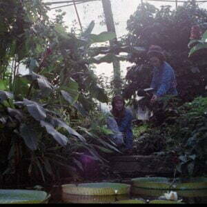 Two people from the Dundee Sound Collective, collecting field recordings at the botanic gardens in Dundee.