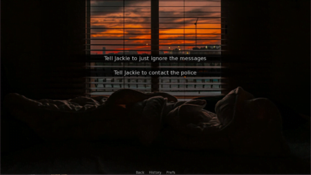 A bed with ruffled up duvet and pillows in a dark room. In the crntre of the room is a window looking out onto a cityscape in the midst of an orange sky of a sunset. In the middle of the window are two statements written in white writing.The first statement reads," Tell Jackie to just ignore the messages." The second statement reads," Tell Jackie to contact the police."